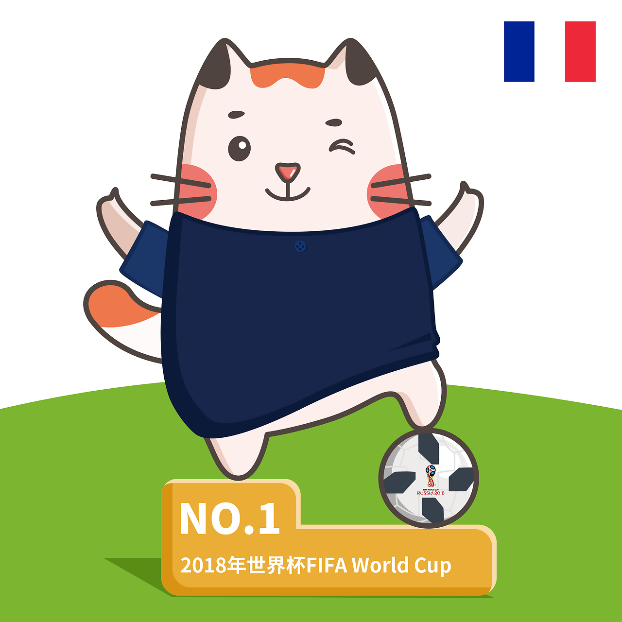 猫队打出了