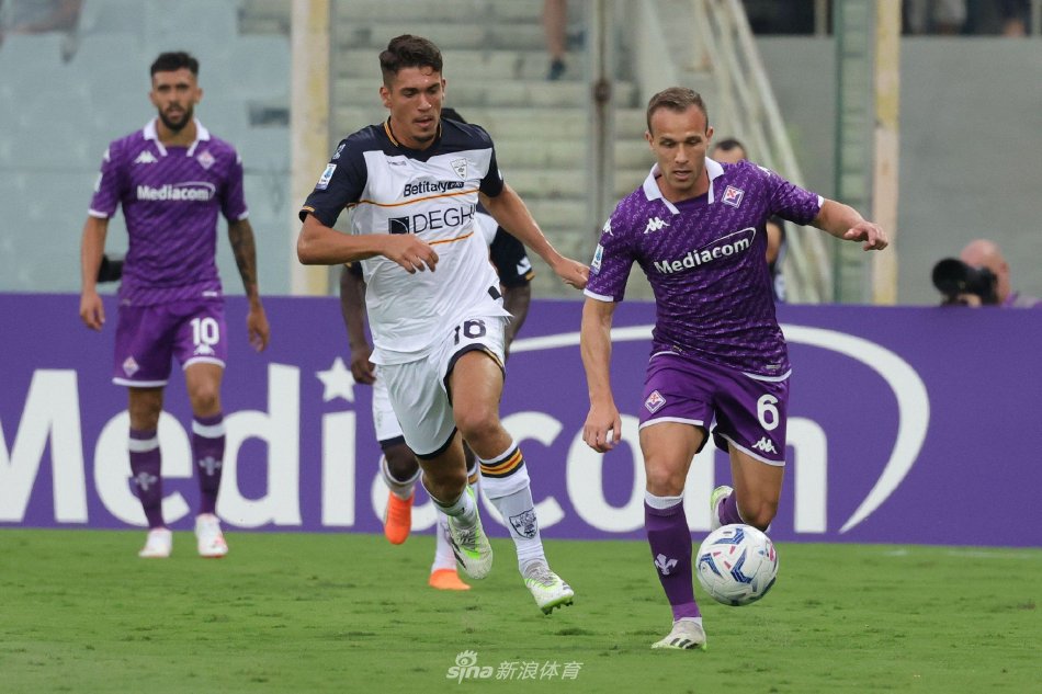 这一现象的 这一现象的